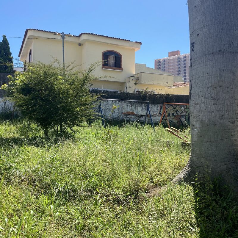 Imagem da publicação