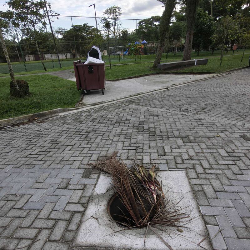 Imagem da publicação