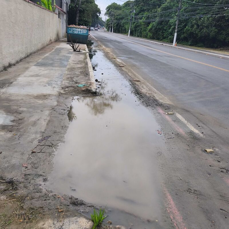 Imagem da publicação