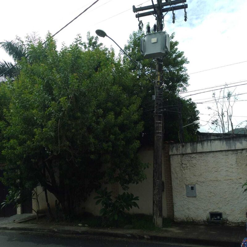 Imagem da publicação