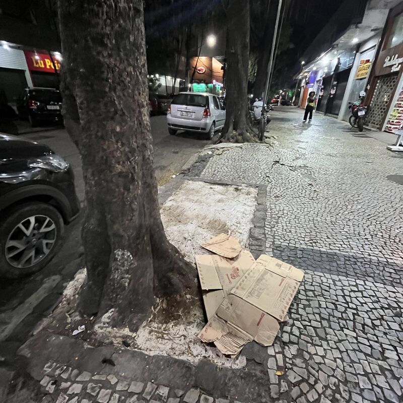 Imagem da publicação