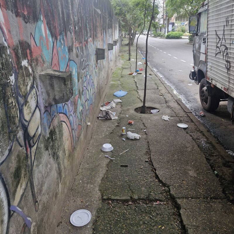 Imagem da publicação
