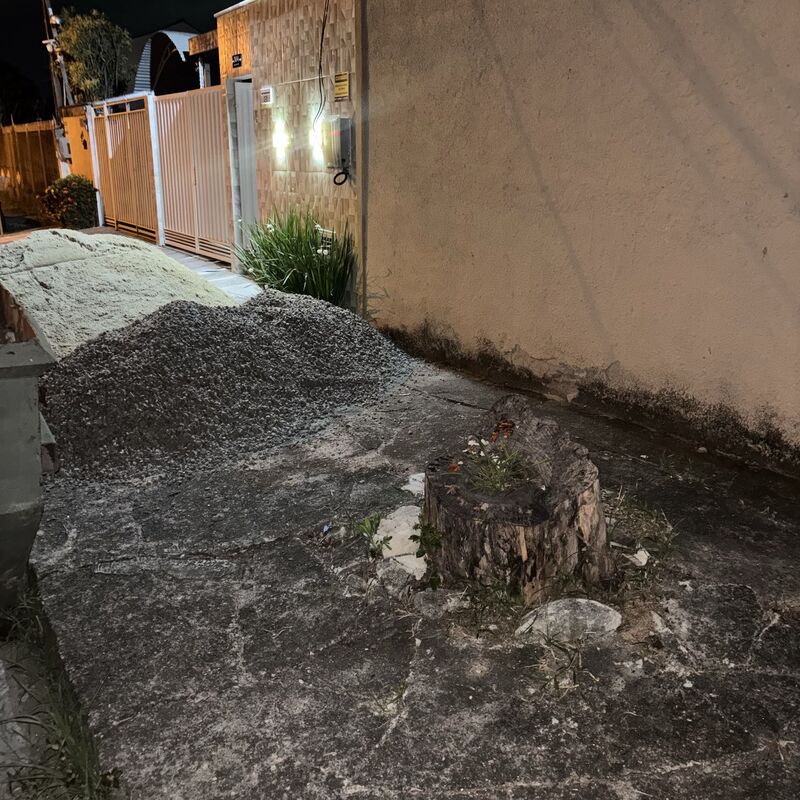 Imagem da publicação