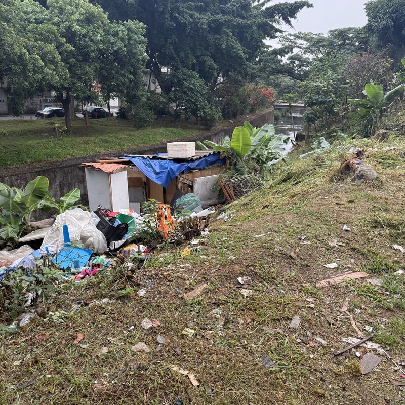 Imagem da publicação