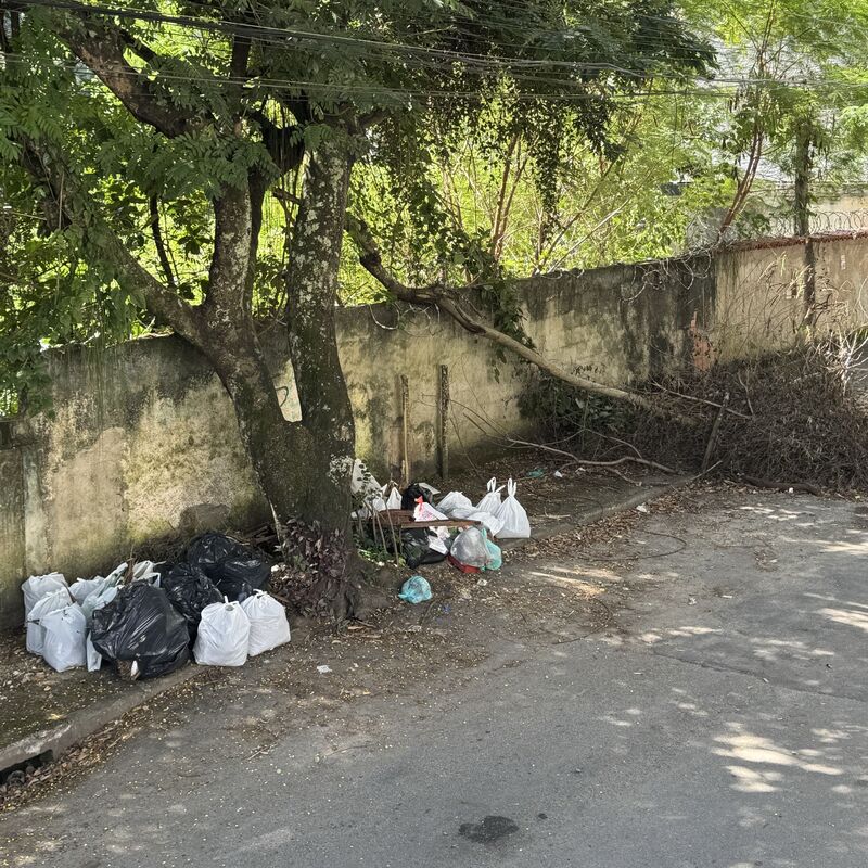 Imagem da publicação