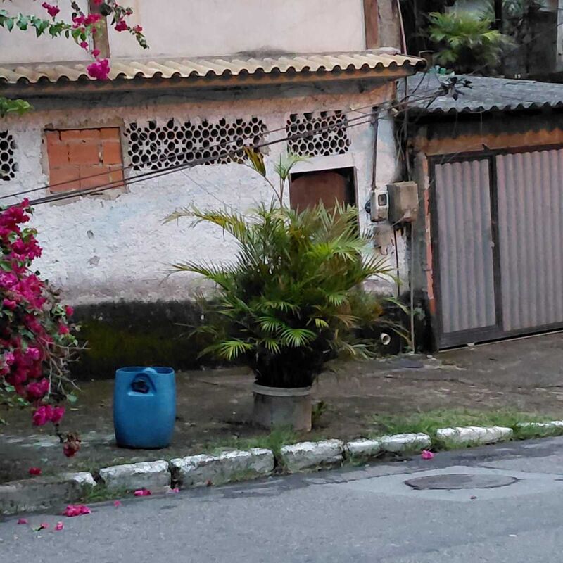 Imagem da publicação