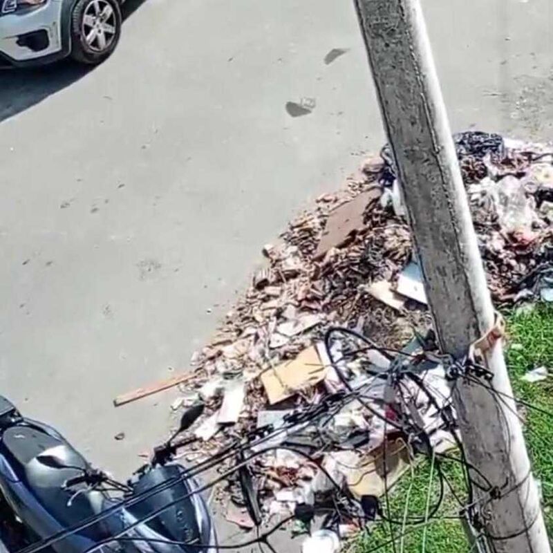 Imagem da publicação