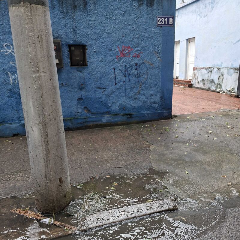 Imagem da publicação