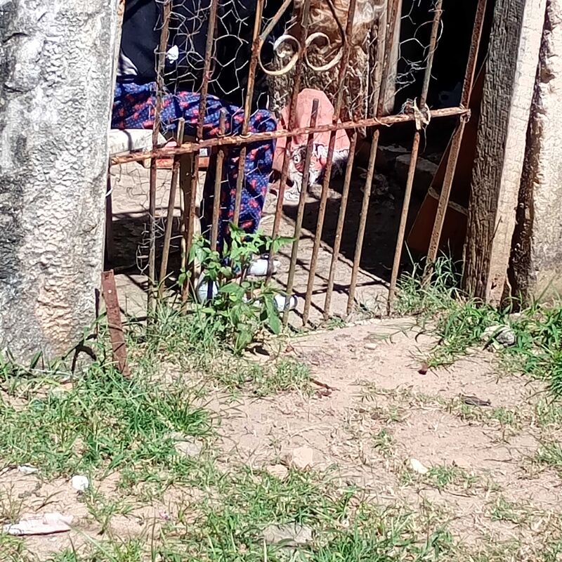 Imagem da publicação