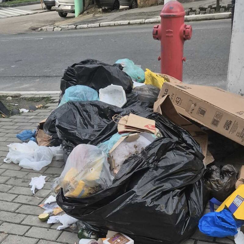 Imagem da publicação