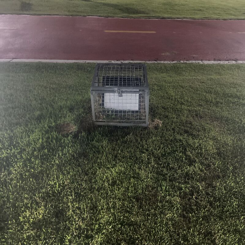 Imagem da publicação