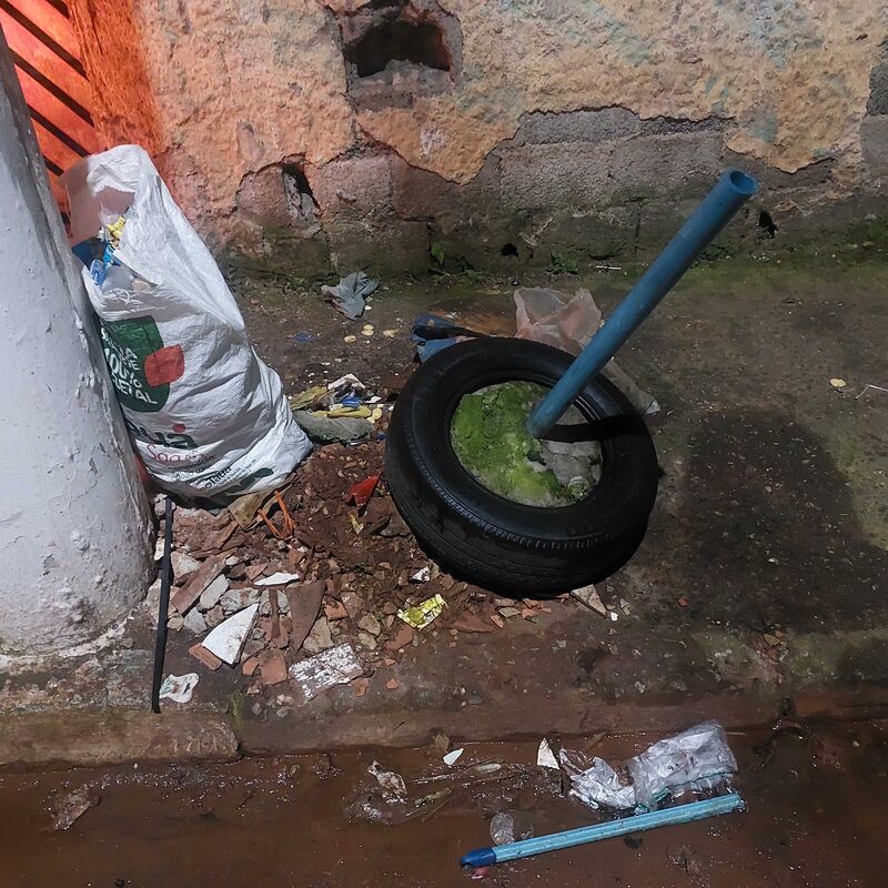 Imagem da publicação