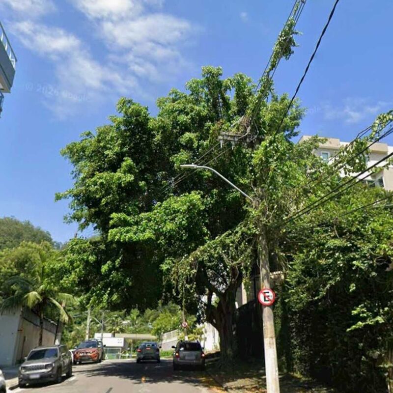Imagem da publicação