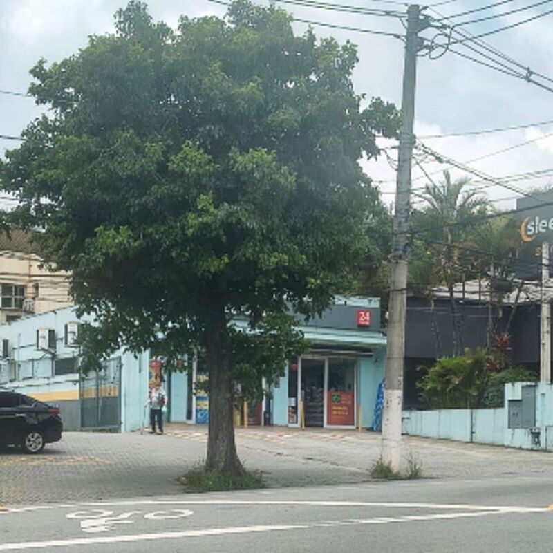 Imagem da publicação