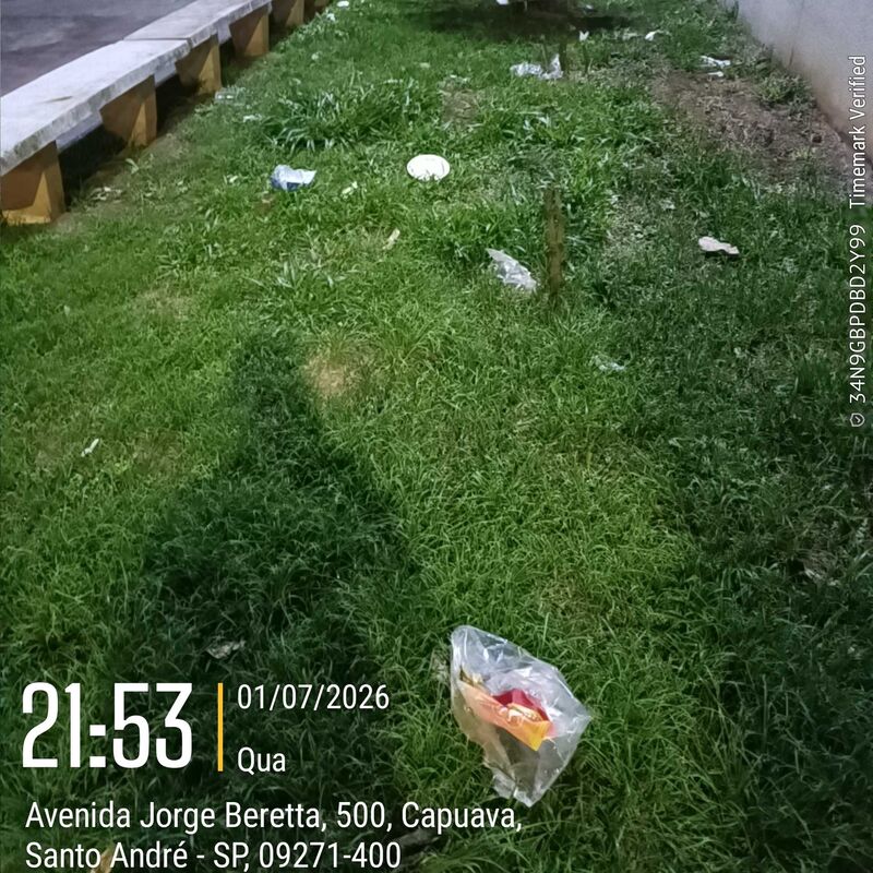 Imagem da publicação
