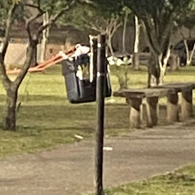 Imagem da publicação