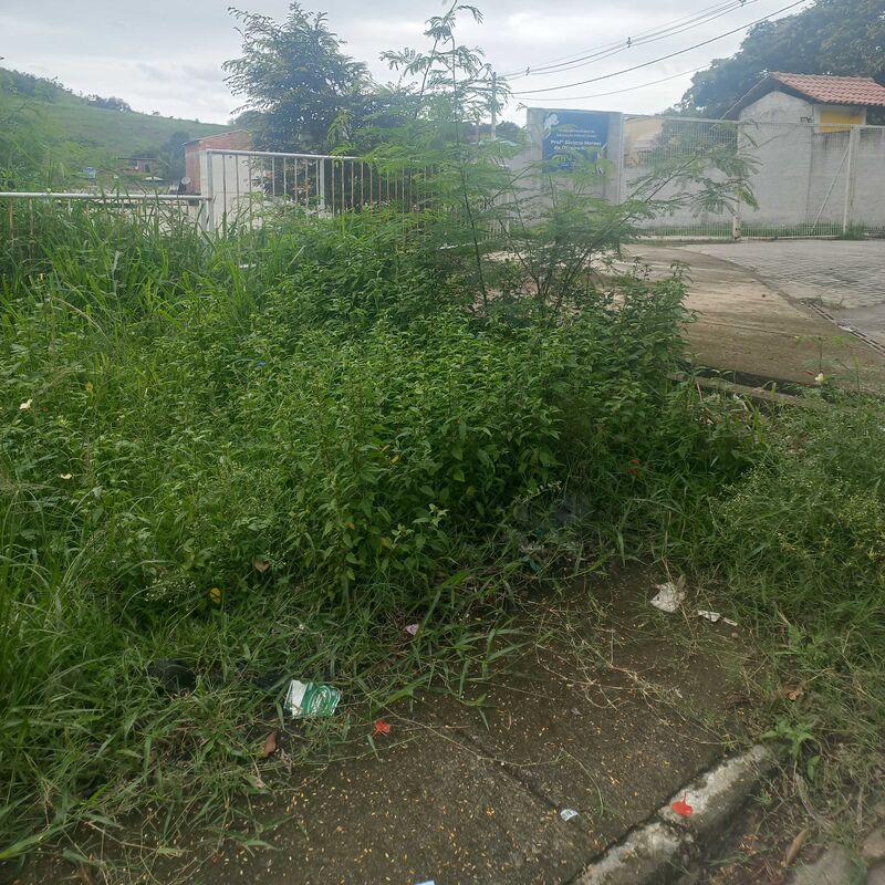 Imagem da publicação