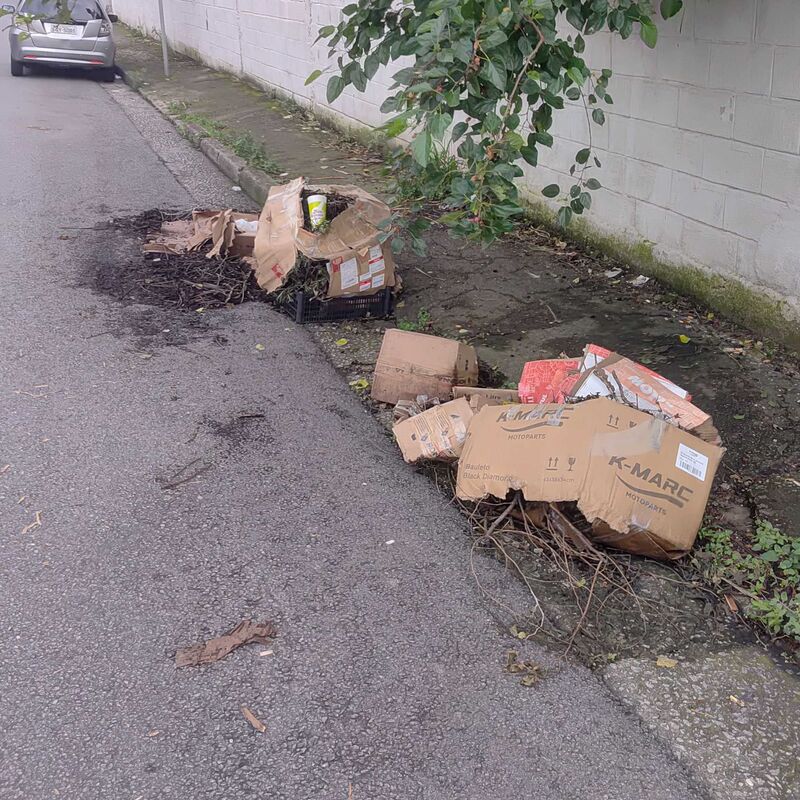 Imagem da publicação