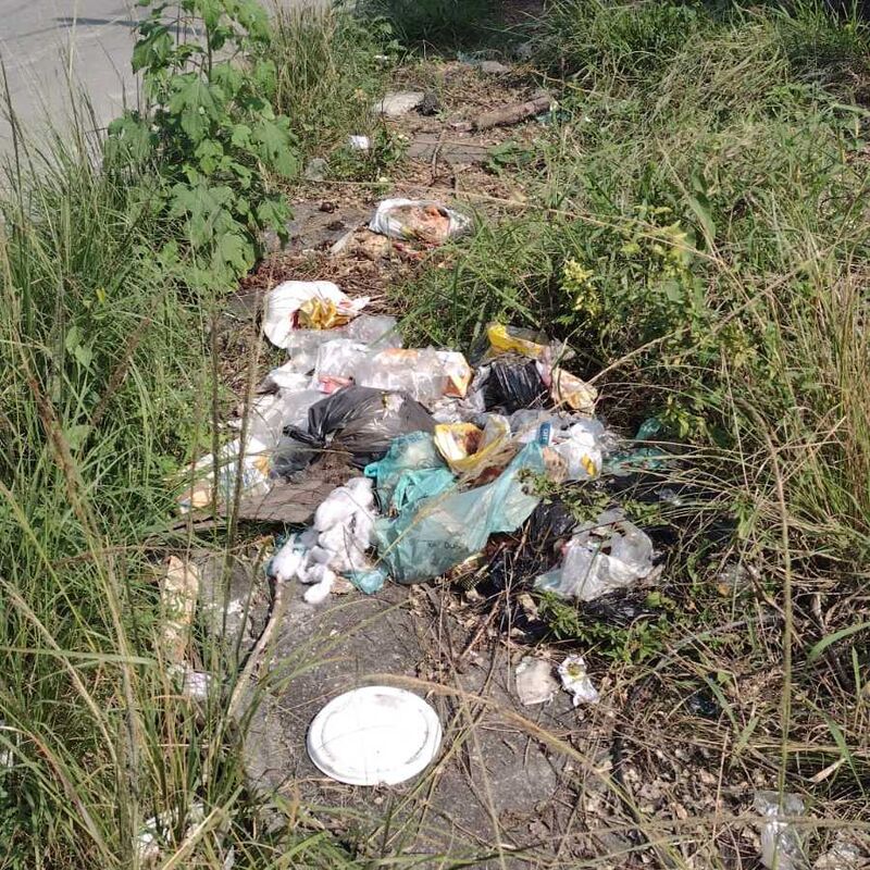 Imagem da publicação