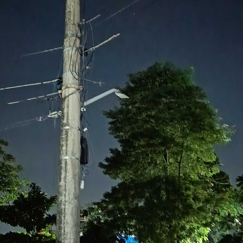 Imagem da publicação