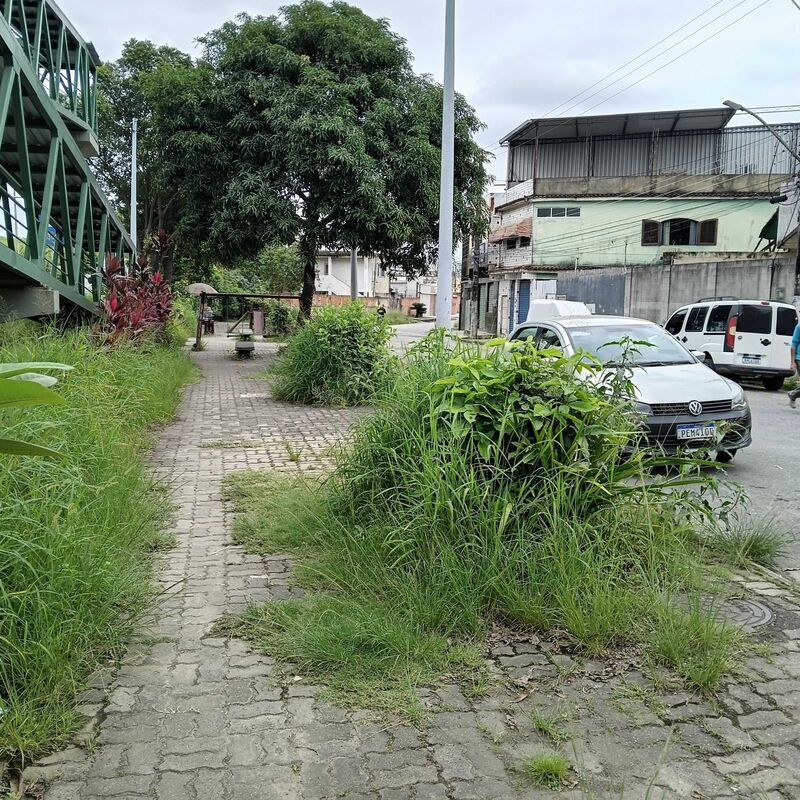 Imagem da publicação