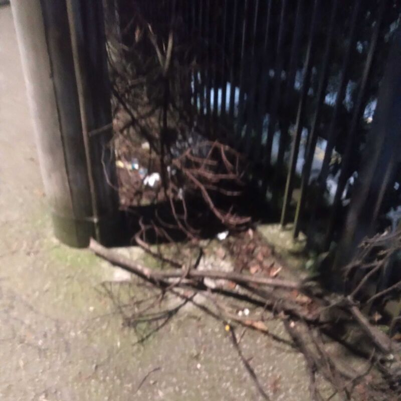 Imagem da publicação