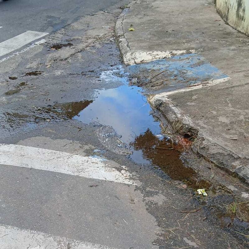 Imagem da publicação