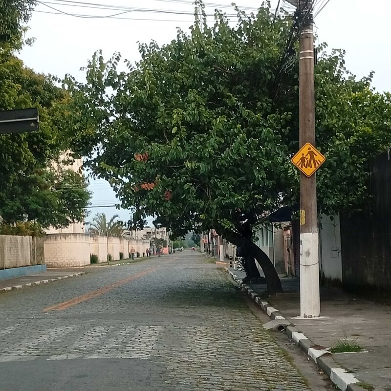 Imagem da publicação