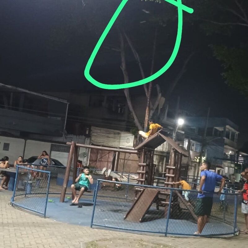 Imagem da publicação