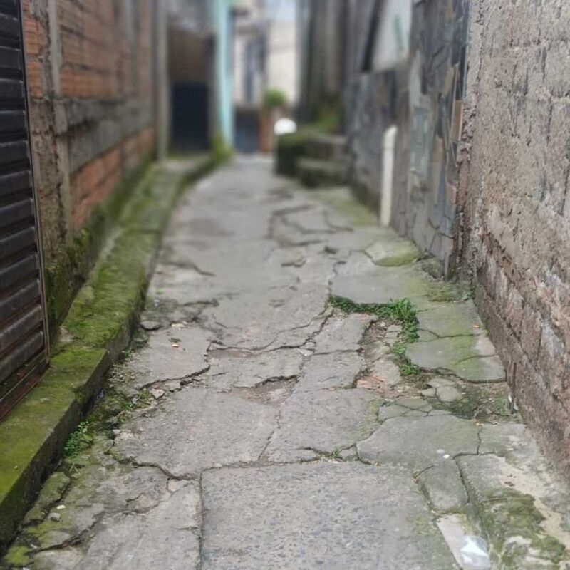 Imagem da publicação