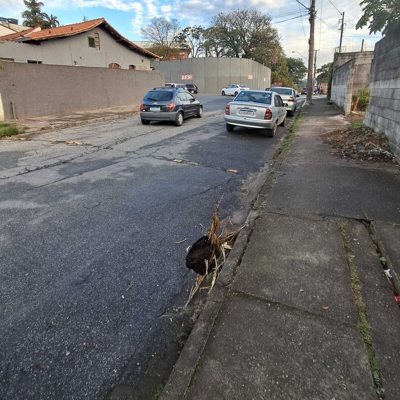 Imagem da publicação
