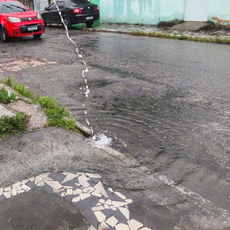 Imagem da publicação