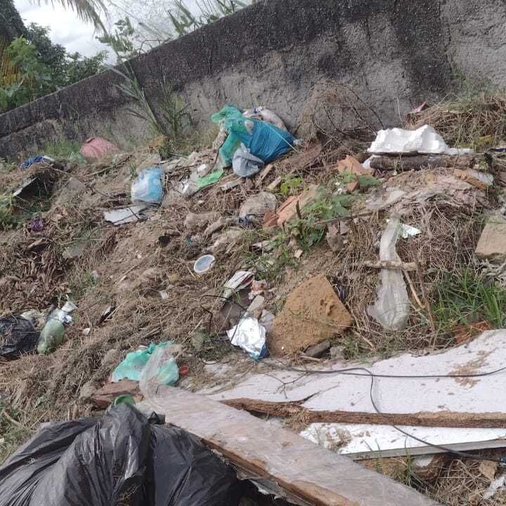 Imagem da publicação