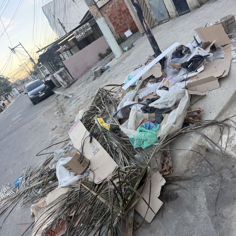 Imagem da publicação