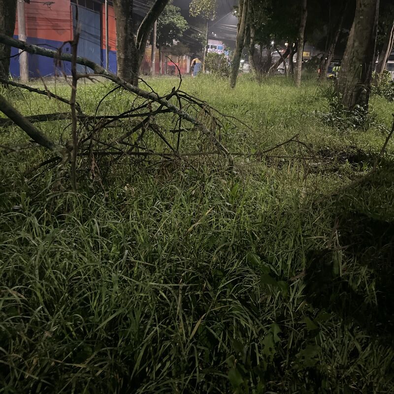 Imagem da publicação