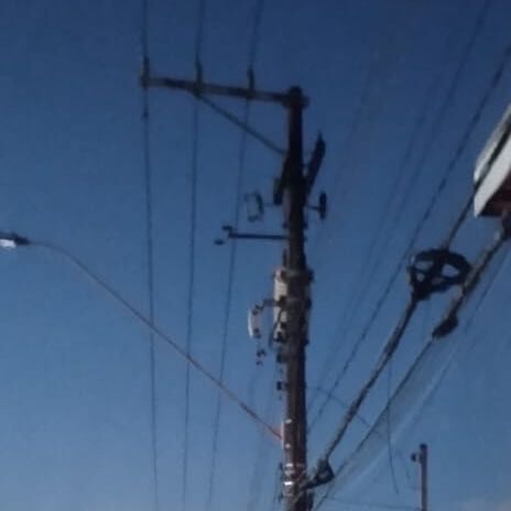 Imagem da publicação