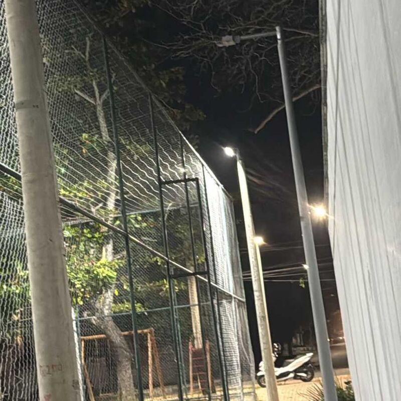 Imagem da publicação