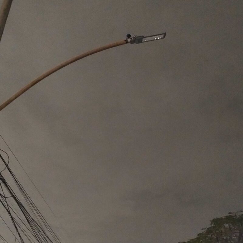 Imagem da publicação