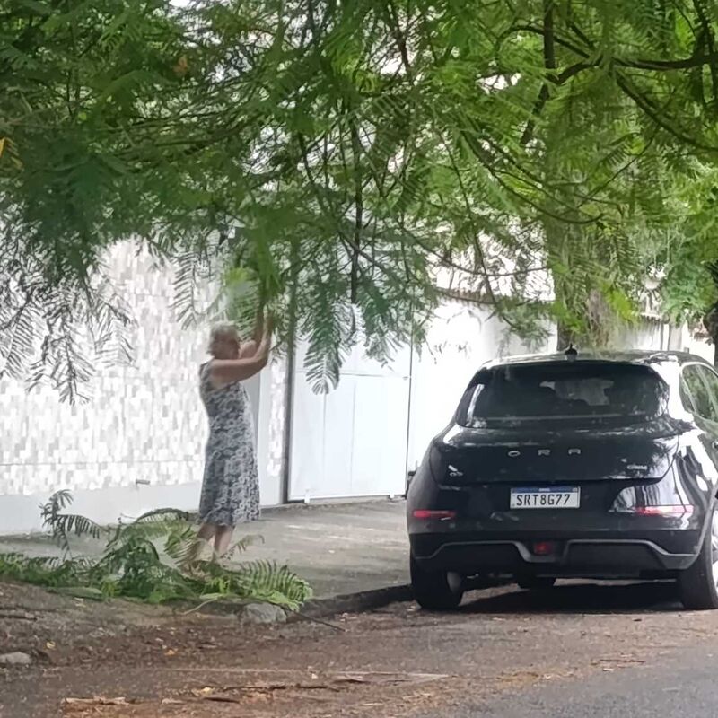 Imagem da publicação