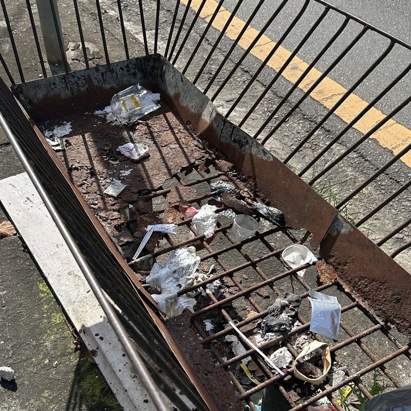 Imagem da publicação