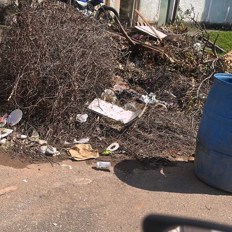 Imagem da publicação