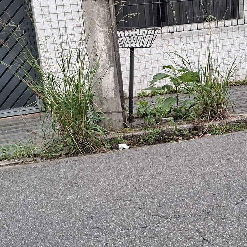 Imagem da publicação