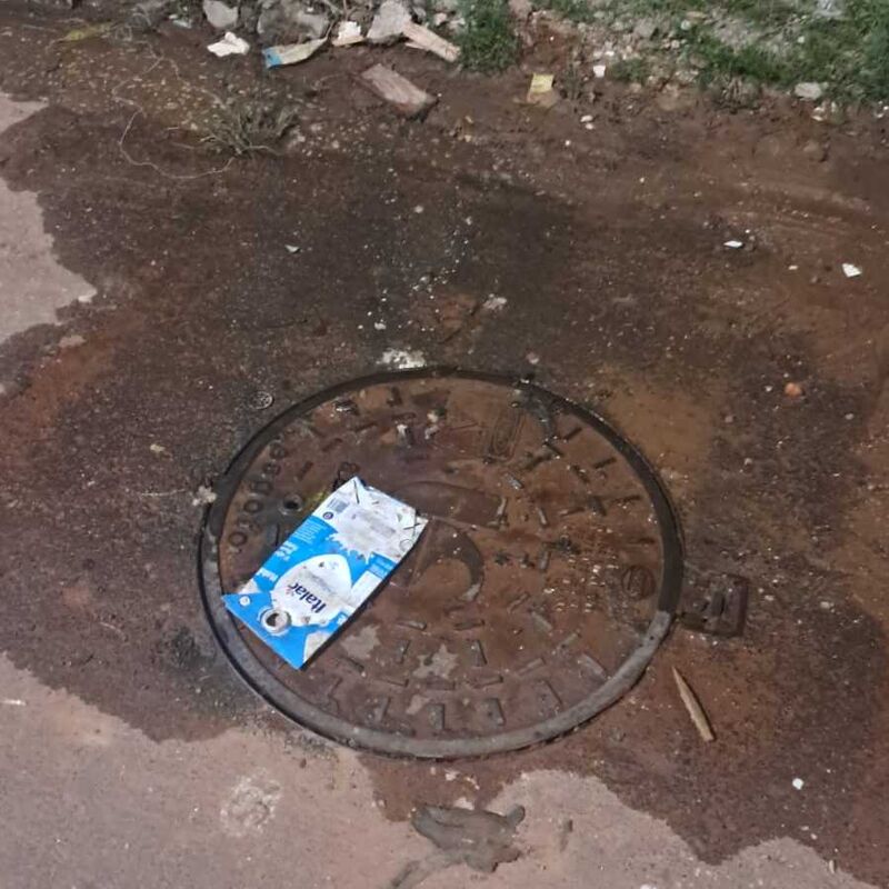 Imagem da publicação