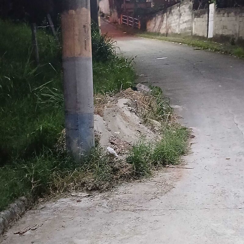 Imagem da publicação
