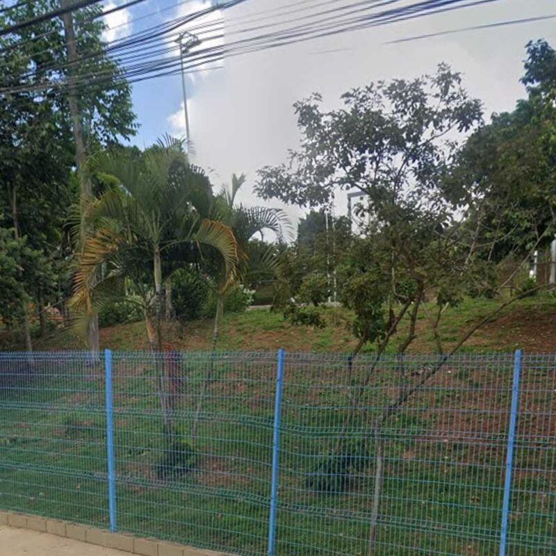 Imagem da publicação