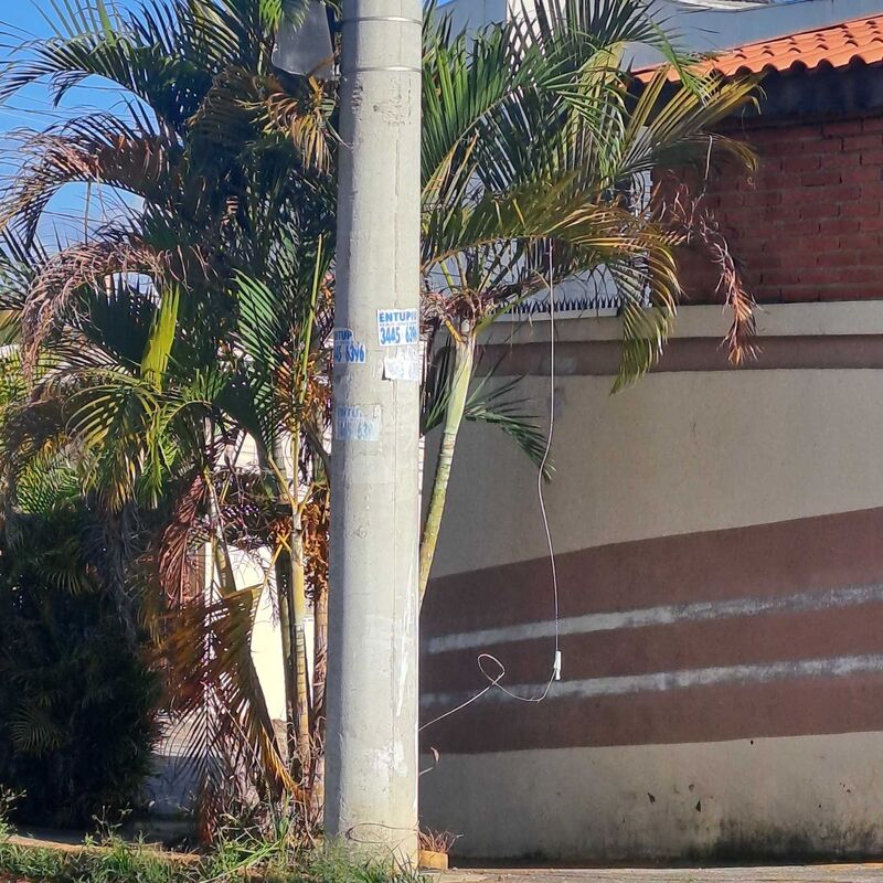 Imagem da publicação