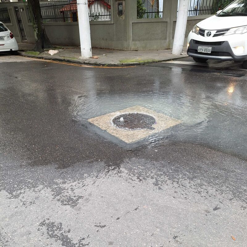 Imagem da publicação