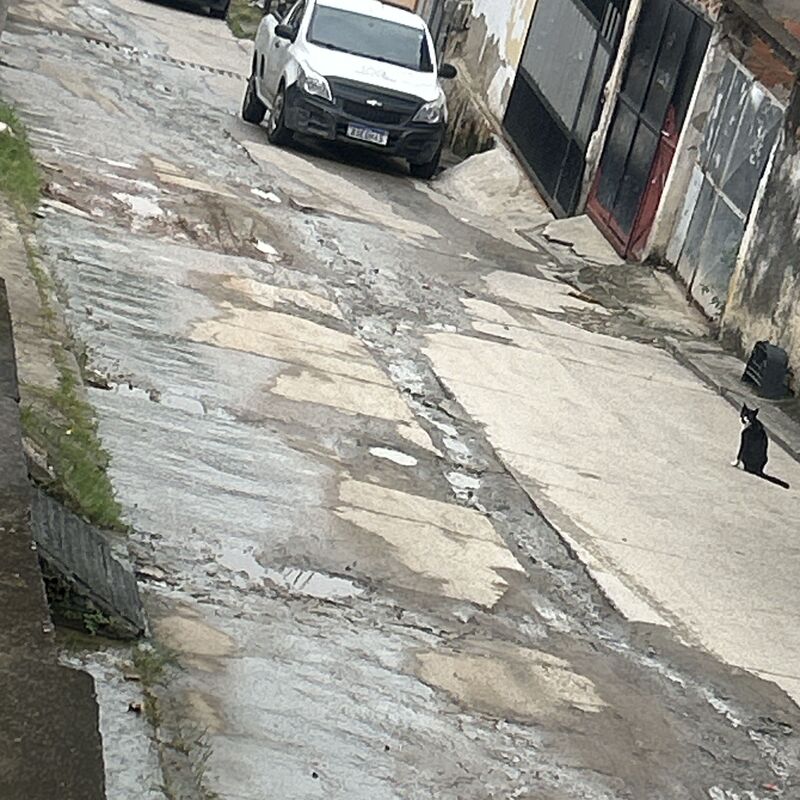 Imagem da publicação