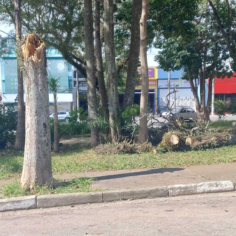 Imagem da publicação