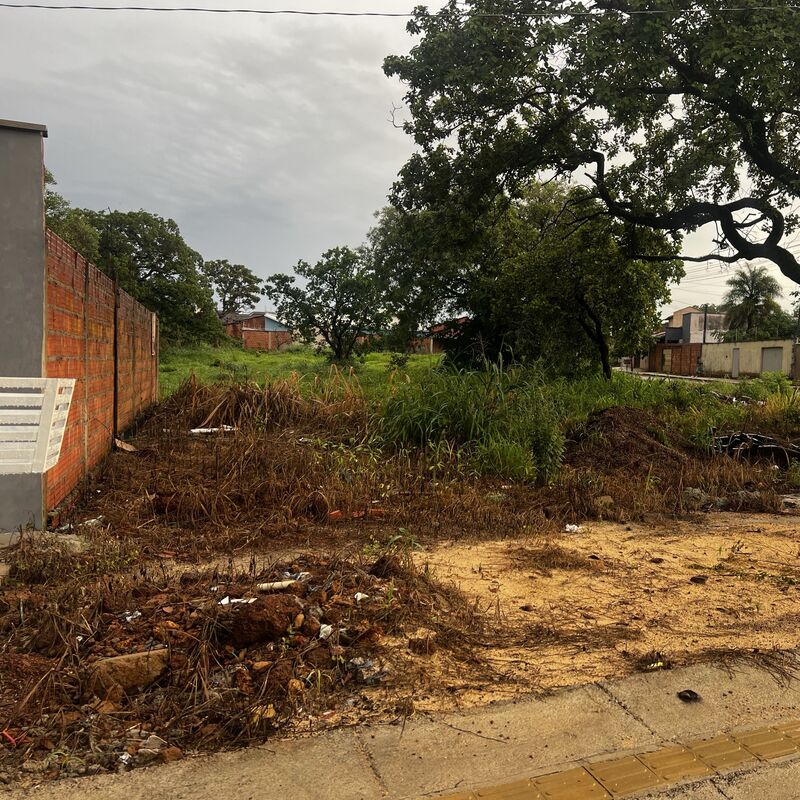 Imagem da publicação